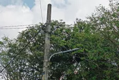 Angin Segar untuk Rumah Tangga: Tarif Listrik Stabil Hingga September 2025!