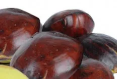 Jengkol: Bukan Sekadar Bau Khas, Ini Segudang Manfaat Kesehatan yang Jarang Diketahui!