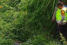 Tragis! Pelajar SMP Ditemukan Pedagang Sayur Tewas Mengambang di Sungai