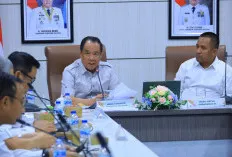 Pemprov Sumsel Gandeng Ombudsman RI untuk Kebut Perbaikan Pelayanan Publik