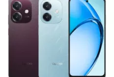 OPPO A3x 4G: Perpaduan Gaya dan Performa Unggul di Kelas Menengah