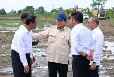 Presiden Prabowo Puji Prestasi Gubernur Herman Deru Berhasil Tingkatkan Produksi Pangan  5 Besar Nasional