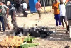 Kecelakaan Maut di Jalinteng Sekayu-Lubuklinggau, Pengendara Motor Tewas di Tempat