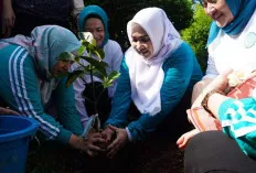 Pj Ketua TP PKK Tyas Fatoni Kampanyekan 10 Program Pokok melalui Gerakan Tanam Cabai