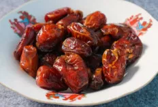 Khasiat Buah Kurma untuk Kesehatan: Manfaat dan Kandungan Nutrisinya