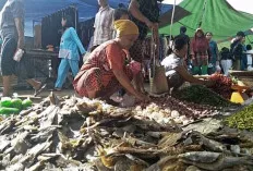 Debit Air Sungai Naik, Tangkapan Menurun, Harga Ikan Asin Masih Tinggi 