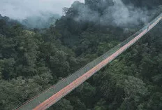 Jembatan Gantung Rengganis Bandung, Sensasi Berjalan di Ketinggian dengan Panorama Alam yang Memukau
