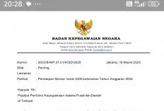 BKN Terbitkan Surat, Ini Isinya, Kabar Baik CPNS dan PPPK 2024 