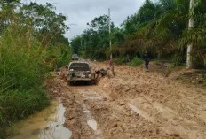 Jalan Berlumpur di Musi Rawas Hambat Aktivitas Warga dan Pelajar