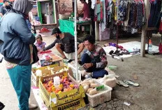 Musim Hujan, Pedagang Anakan Ayam di Sanga Desa Harus Ekstra Perawatan