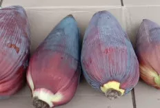 Jantung Pisang yang Melegenda: Rahasia Mengolah Bahan Sederhana Menjadi Hidangan Istimewa