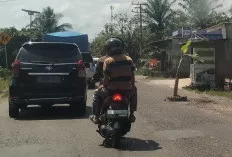 Berpotensi Kecelakaan Lalulintas, Warga Desa Tanjung Durian Muba Tanam Pohon Pisang di Jalinteng 