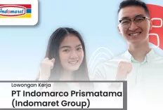 Maksimal Berumur 27 Tahun, PT Indomarco Buka Lowongan Kerja
