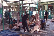 Menyibak Makna di Balik Sembelih Hewan Qurban: Kisah Ketaatan dan Kepedulian
