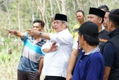 Wow, Kabupaten Lahat Kembangkan Kebun Durian Percontohan 
