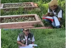 Totalitas Petugas Coklit, Pastikan Data Akurat Datangi Kuburan 