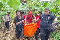 Mayat Pria Tanpa Identitas Ditemukan Mengambang di Anak Sungai Musi Jakabaring