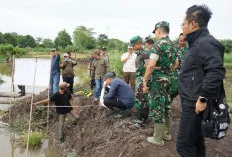 Tim Itjenad Tinjau Program Optimasi Lahan di OKI, Pastikan Berjalan Sesuai Prosedur