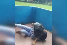  Perkelahian Dua Siswi SMP di Lubuk Linggau Dipicu Masalah Percintaan
