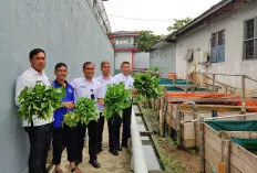 Panen Kangkung di Lapas Sekayu, Bukti Nyata Pembinaan Kemandirian Warga Binaan   