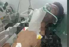 Ngopi di Teras, Warga Musi Rawas Meninggal Dipatuk Ular Kobra
