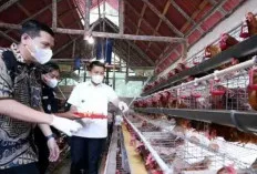 Dorong Program Makan Bergizi Gratis, Pemkab Ogan Ilir Gandeng BUMDes Perkuat Pasokan Lokal