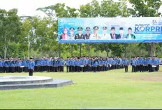 Bolos Kerja, Empat ASN Pemkab Banyuasin Dipecat