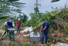 Heboh! Kawanan Perampok Bersenpi Sandera Penjaga Kebun 