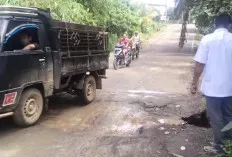Jembatan di Desa Berlian Makmur Butuh Perhatian, Bisa Sebabkan Akses Jalan C2 - Dawas Terganggu