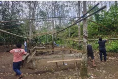 Polsek Tebing Tinggi Gerebek Arena Sabung Ayam di Empat Lawang