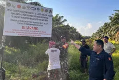 Satgas PKH Amankan 1.468 Hektare Lahan Sawit PTPN 7 Betung Banyuasin