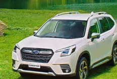 Subaru Forester 2025: SUV Keluarga Petualang Semakin Cerdas dan Tangguh, Siap Temani Perjalanan Anda
