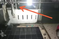 Burung Milik Warga Bernilai Ratusan Juta Raib Dibawa Kabur Maling, Pernah Menang Kontes 