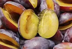 Mau Tau Khasiat Buah Jamblang bagi Kesehatan Tubuh 
