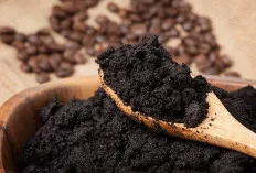 Eiit, Jangan Buru-Buru Dibuang! Ternyata Ampas Kopi Bisa Bermanfaat Untuk Ini   
