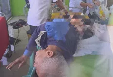 Diserang Beruang Saat Semprot Rumput di Kebun, Warga Air Beliti Alami Luka Robek