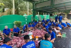 Semangat Iduladha di Desa Bukit Jaya, 28 Sapi dan 14 Kambing Disembelih untuk Warga dan Ponpes