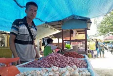 Harga Bawang Merah Bikin ‘Pedas’ Mata Emak-Emak di Sanga Desa, Segini Harganya 