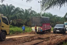Kondisi Jalan Sungai Lilin - Keluang Kian Memprihatinkan, Kemacetan Panjang Kembali Terjadi