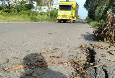 Jalan Talang Siku Sungai Lilin Terancam Putus, Warga Minta Perbaikan Segera