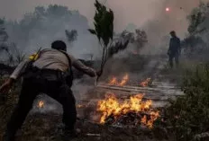 Sidang Gugatan Karhutla Masuki Tahap Kesimpulan, Tiga Perusahaan Kehutanan Tegaskan Tak Ada Bukti Konkret