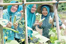 Penuhi Pangan Keluarga, Tambah Penghasilan Warga Empat Lawang