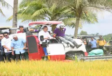 Pj Gubernur Elen Setiadi Dampingi Menko Pangan Zulkifli Hasan Panen Raya di Banyuasin
