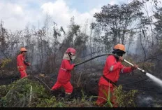 Nah Loh, Seluas 4 Hektar Lahan Terbakar di Banyuasin, Dugaan Sengaja Dibakar