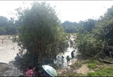  Tradisi Bekarang di Muara Enim Meriah, Ratusan Warga Turun ke Sungai Tangkap Ikan Bersama