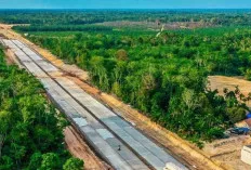 Beginilah Penampakan Terbaru Situasi Tol Bayung Lencir Tempino, Target Bisa Dilalui Tahun Ini