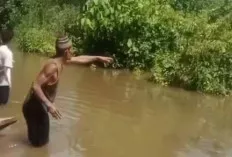 Waspada, Ada Buaya Panjangnya 4 Meter di Ulak Paceh Jaya 