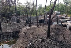 Kilang Minyak Ilegal Terbakar, Satu Pekerja Ditangkap