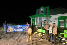 Polres Muba Sembelih 18 Sapi dan 16 Kambing Kurban, Wujud Kepedulian di Idul Adha 1447 H