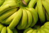 Fakta Tersembunyi! Pisang Ambon Kaya Manfaat untuk Kesehatan Tubuh